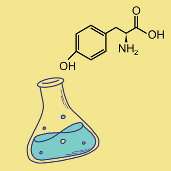 Chemie Bücher für Schüler:innen | Lernhilfen & Prüfungsvorbereitung