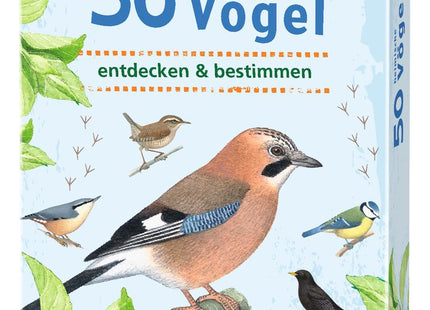 Expedition Natur – 50 heimische Vögel: Wissenskarten ab 6 Jahren – Originalschachtel mit heimischen Vogelarten