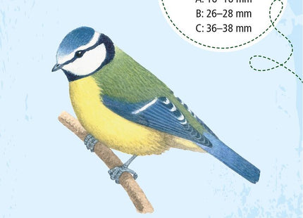 Expedition Natur – 50 heimische Vögel: Wissenskarten ab 6 Jahren – Beispielkarte Blaumeise mit Bild und Quizfrage