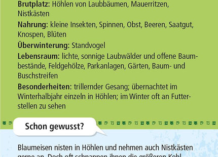 Expedition Natur – 50 heimische Vögel: Wissenskarten ab 6 Jahren – Rückseite der Blaumeisenkarte mit Steckbrief