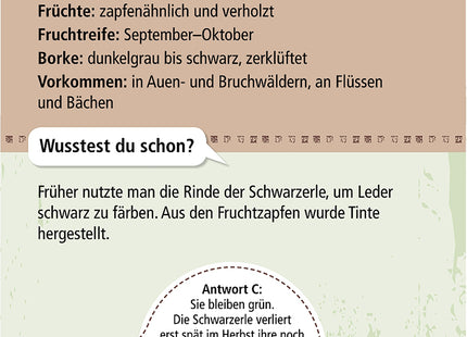Expedition Natur – 50 heimische Bäume: Wissenskarten ab 6 Jahren – Baumsteckbrief der Schwarzerle auf der Kartenrückseite