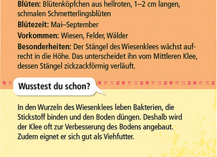Expedition Natur – 50 heimische Blumen – Rückseite der Beispielkarte mit Steckbrief