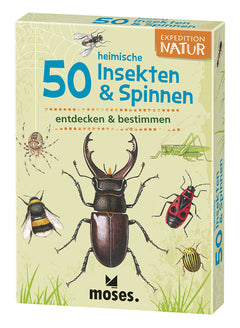 Expedition Natur – 50 heimische Insekten & Spinnen