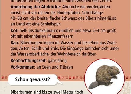 Expedition Natur – 50 Tierspuren – Rückseite der Beispielkarte mit Steckbrief