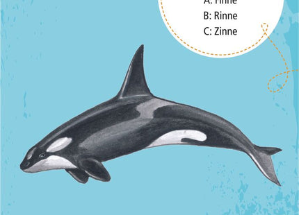 Expedition Natur – 50 Meerestiere – Beispielkarte Schwertwal mit Illustration und Quizfrage