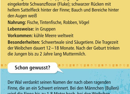 Expedition Natur – 50 Meerestiere – Rückseite der Schwertwal-Karte mit Steckbrief