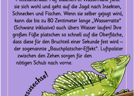 Expedition Natur – 50 wundersame Tierrätsel: Tricks und Tarnung – Rückseite der Beispielkarte mit Auflösung und Tierwissen