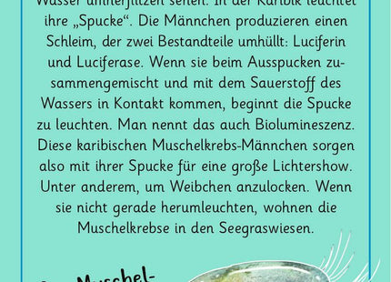 Expedition Natur – 50 wundersame Tierrätsel: Tricks und Tarnung – Rückseite der zweiten Beispielkarte mit Auflösung