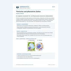 Tierische und pflanzliche Zellen – kostenloses Biologie-Arbeitsblatt mit Lösungen (PDF)