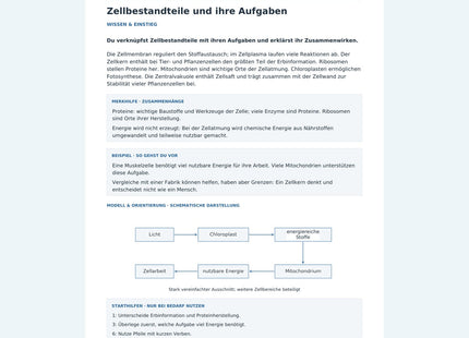 Zellbestandteile und ihre Aufgaben – Wissensseite