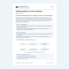 Zellbestandteile und ihre Aufgaben – kostenloses Biologie-Arbeitsblatt mit Lösungen (PDF)