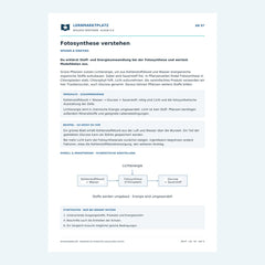 Fotosynthese verstehen – kostenloses Biologie-Arbeitsblatt mit Lösungen (PDF)