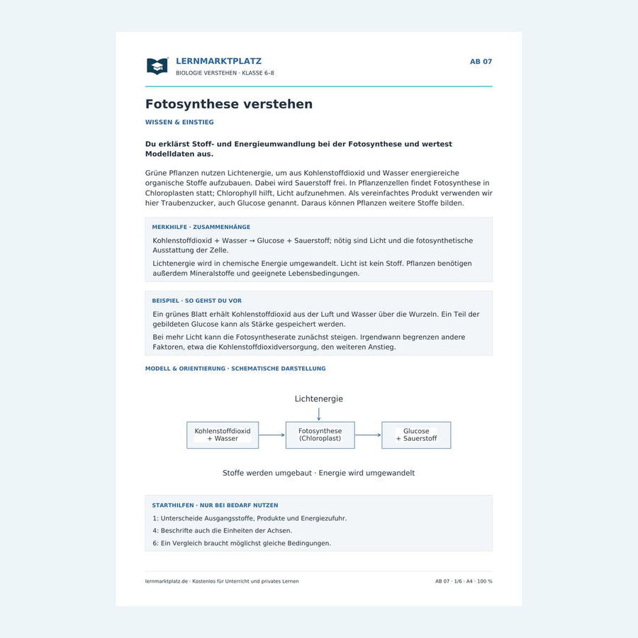 Fotosynthese verstehen – Wissensseite