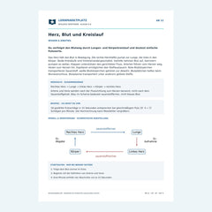 Herz, Blut und Kreislauf – kostenloses Biologie-Arbeitsblatt mit Lösungen (PDF)