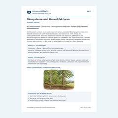 Ökosysteme und Umweltfaktoren – kostenloses Biologie-Arbeitsblatt mit Lösungen (PDF)