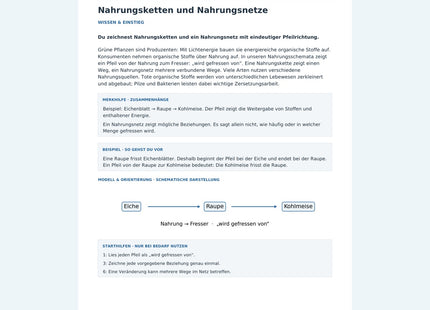 Nahrungsketten und Nahrungsnetze – Vorschau des Biologie-Arbeitsblatts