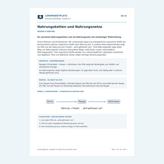 Nahrungsketten und Nahrungsnetze – kostenloses Biologie-Arbeitsblatt mit Lösungen (PDF)