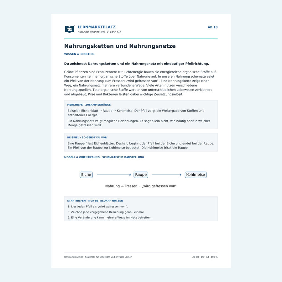 Nahrungsketten und Nahrungsnetze – Vorschau des Biologie-Arbeitsblatts
