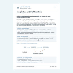 Energiefluss und Stoffkreisläufe – kostenloses Biologie-Arbeitsblatt mit Lösungen (PDF)