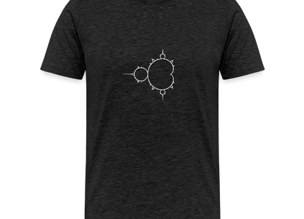 Beautiful Chaos – Mandelbrot Set - Männer Premium T-Shirt - Anthrazit