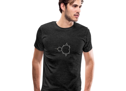 Beautiful Chaos – Mandelbrot Set - Männer Premium T-Shirt - Anthrazit