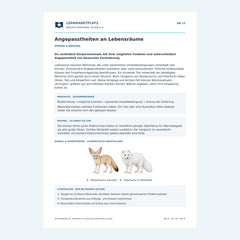 Angepasstheiten an Lebensräume – kostenloses Biologie-Arbeitsblatt mit Lösungen (PDF)