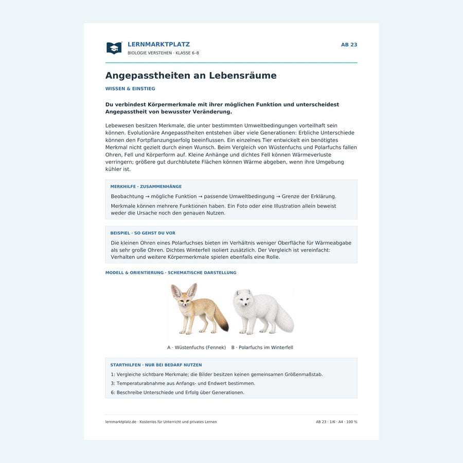 Angepasstheiten an Lebensräume – Vorschau des Biologie-Arbeitsblatts