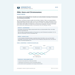DNA, Gene und Chromosomen – kostenloses Biologie-Arbeitsblatt mit Lösungen (PDF)