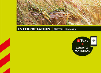 STARK J. D. Salinger: The Catcher in the Rye - Englisch - Interpretationen