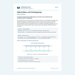 DNA-Aufbau und Verdopplung – kostenloses Biologie-Arbeitsblatt mit Lösungen (PDF)
