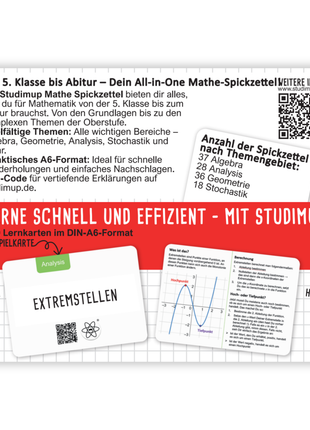 Mathe Spickzettel A6 Pro: Lernkarten für das Gymnasium