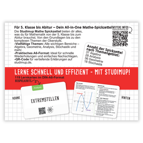 Mathe Spickzettel A6 Pro: Lernkarten für das Gymnasium