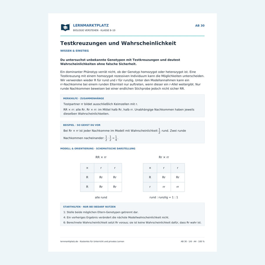 Testkreuzungen und Wahrscheinlichkeit – Vorschau des Biologie-Arbeitsblatts