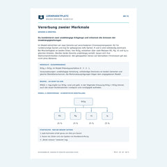 Vererbung zweier Merkmale – kostenloses Biologie-Arbeitsblatt mit Lösungen (PDF)