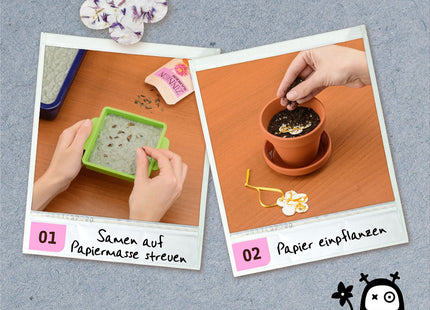 KOSMOS Blühendes Papier – Papier schöpfen mit Blumensamen – Anwendungsbeispiele zum Einstreuen der Samen und Einpflanzen