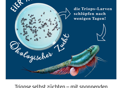 KOSMOS Triops-Welt – Urzeitkrebse züchten ab 8 Jahren – Herstellerillustration zur Aufzucht aus Triops-Eiern