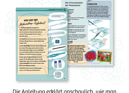Entdecker-Mikroskop - Starter-Set für Natur-Forscher - Experimentierkasten