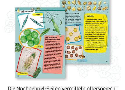 Entdecker-Mikroskop - Starter-Set für Natur-Forscher - Experimentierkasten
