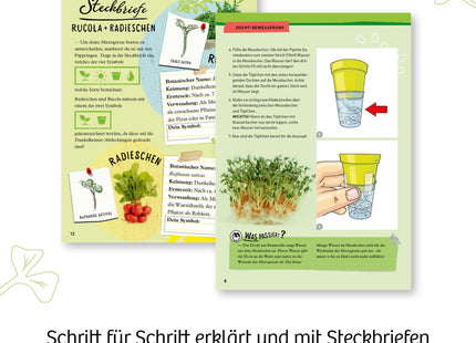 Kosmos 636135 - Microgreen-Garten - Experimentierkasten