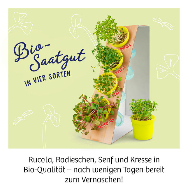 Kosmos 636135 - Microgreen-Garten - Experimentierkasten