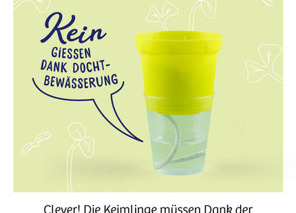Kosmos 636135 - Microgreen-Garten - Experimentierkasten