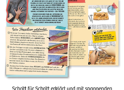 T-Rex 3D (Ausgrabungs-Set mit Werkzeug) - Experimentierkasten
