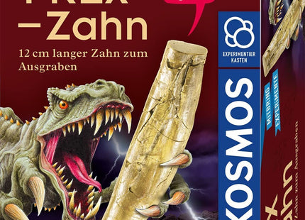 T-Rex-Zahn (Ausgrabungs-Set mit Werkzeug) - Experimentierkasten