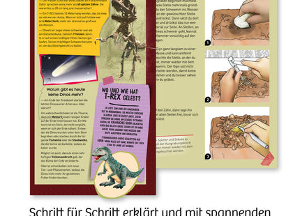 T-Rex-Zahn (Ausgrabungs-Set mit Werkzeug) - Experimentierkasten