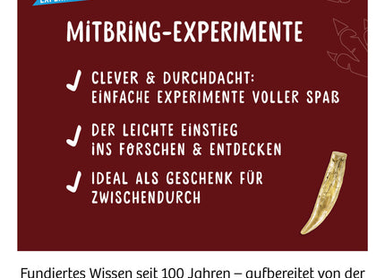 T-Rex-Zahn (Ausgrabungs-Set mit Werkzeug) - Experimentierkasten