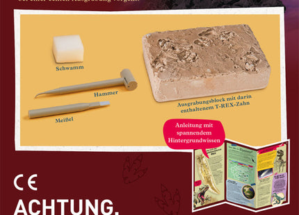 T-Rex-Zahn (Ausgrabungs-Set mit Werkzeug) - Experimentierkasten