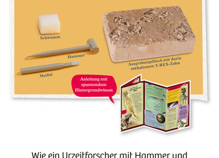 T-Rex-Zahn (Ausgrabungs-Set mit Werkzeug) - Experimentierkasten
