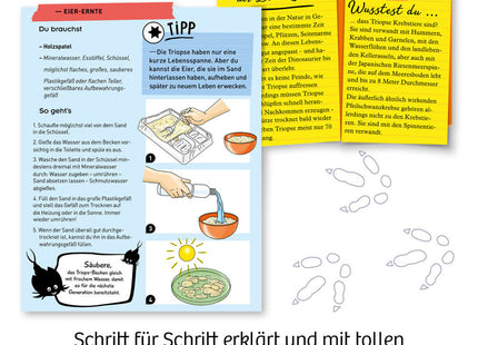 KOSMOS 637231 - Fun Science, Triops züchten, Experimentierkasten