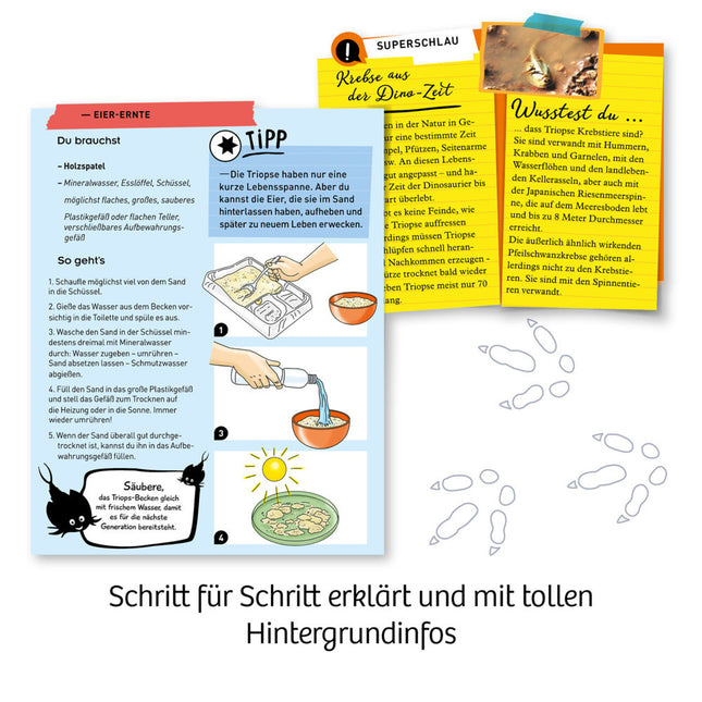 KOSMOS 637231 - Fun Science, Triops züchten, Experimentierkasten