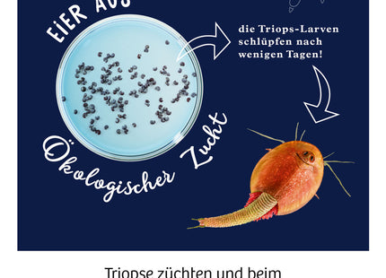 KOSMOS 637231 - Fun Science, Triops züchten, Experimentierkasten